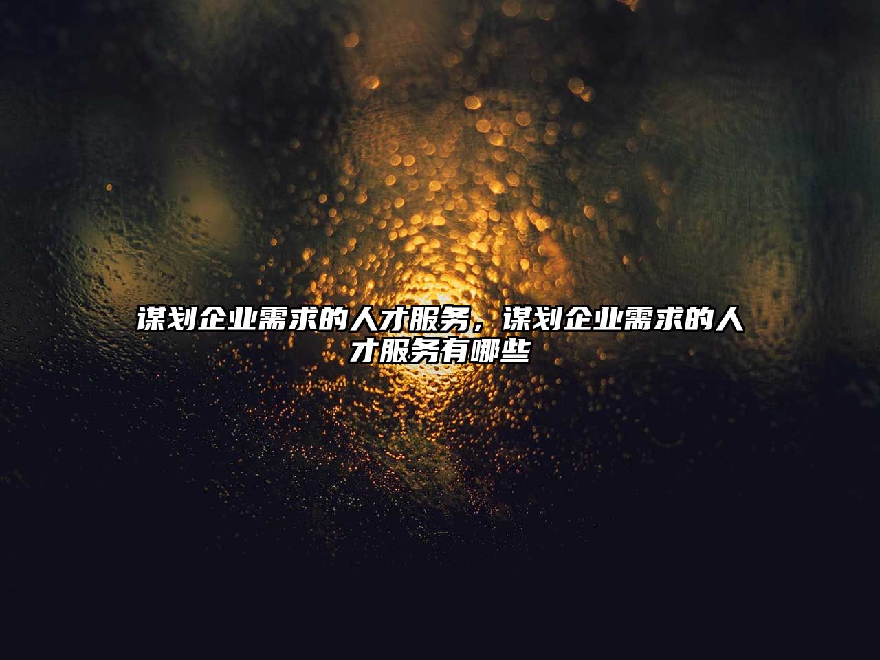 謀劃企業需求的人才服務，謀劃企業需求的人才服務有哪些